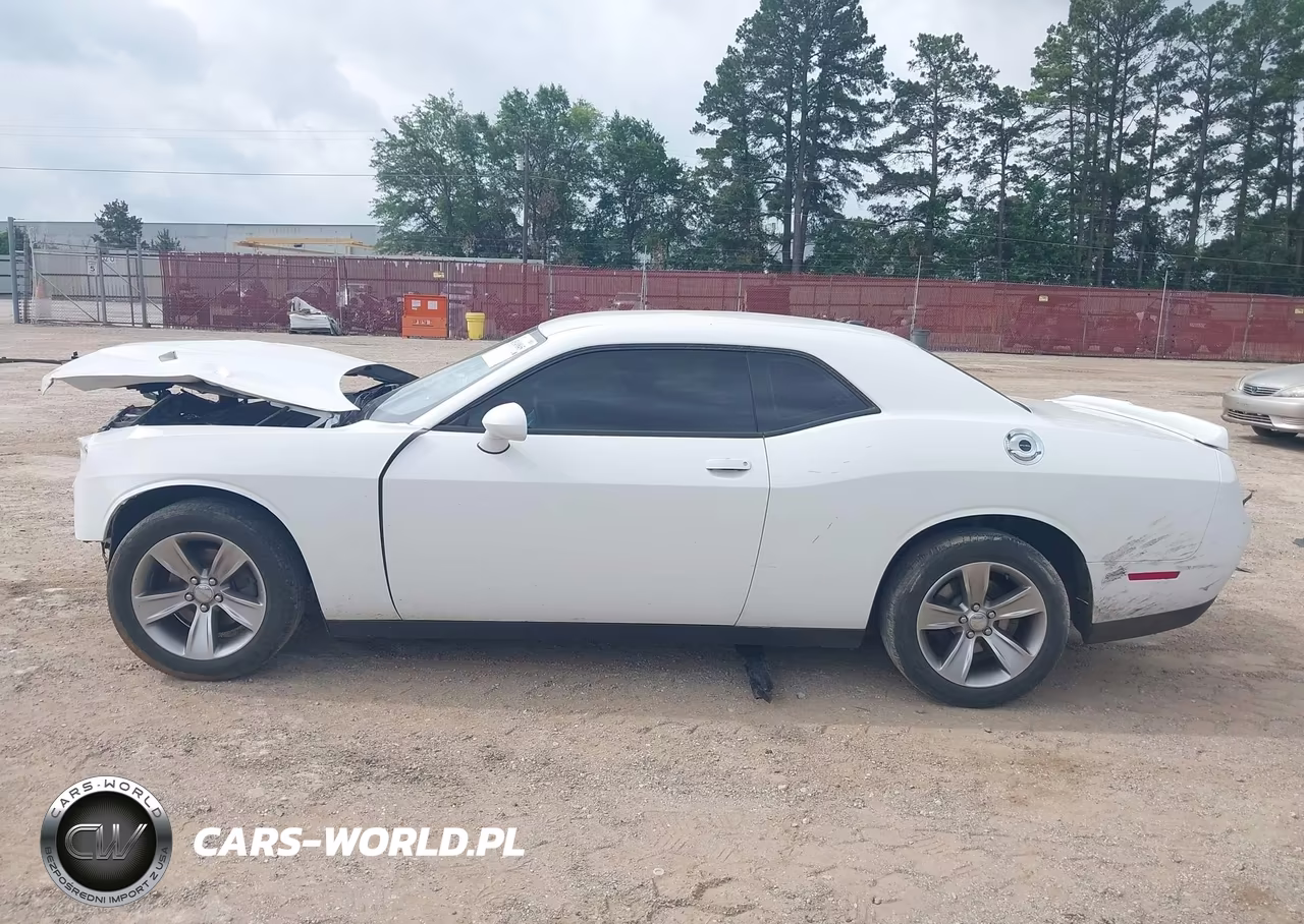 2019 Dodge Challenger Sxt VIN:2C3CDZAG2KH691293 - 14