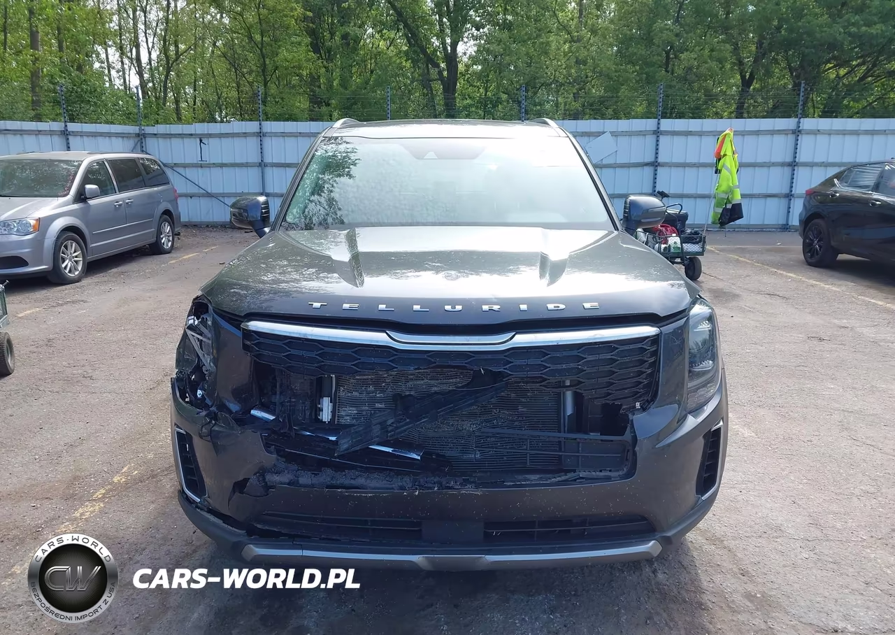2022 Kia Telluride Ex VIN:5XYP3DHCXNG251556 - 12