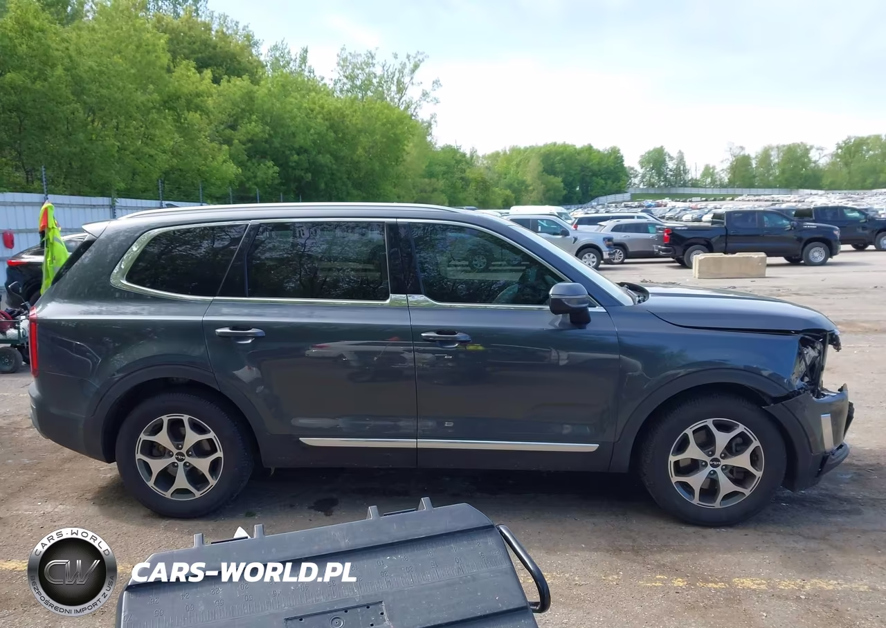 2022 Kia Telluride Ex VIN:5XYP3DHCXNG251556 - 13