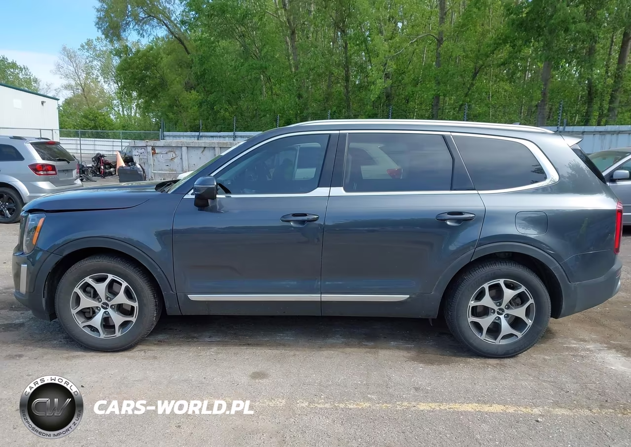 2022 Kia Telluride Ex VIN:5XYP3DHCXNG251556 - 14