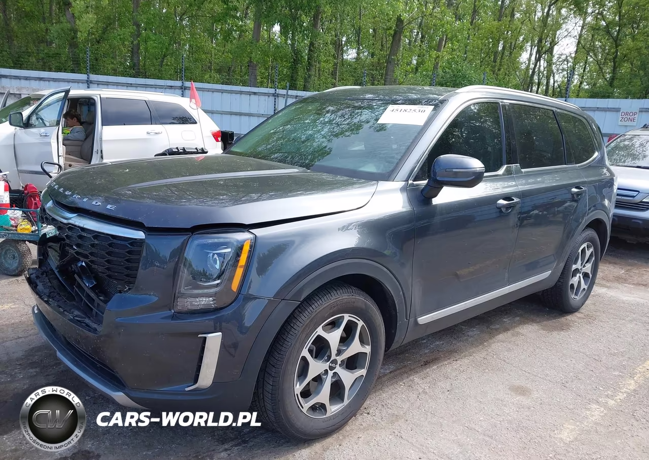 2022 Kia Telluride Ex VIN:5XYP3DHCXNG251556 - 2