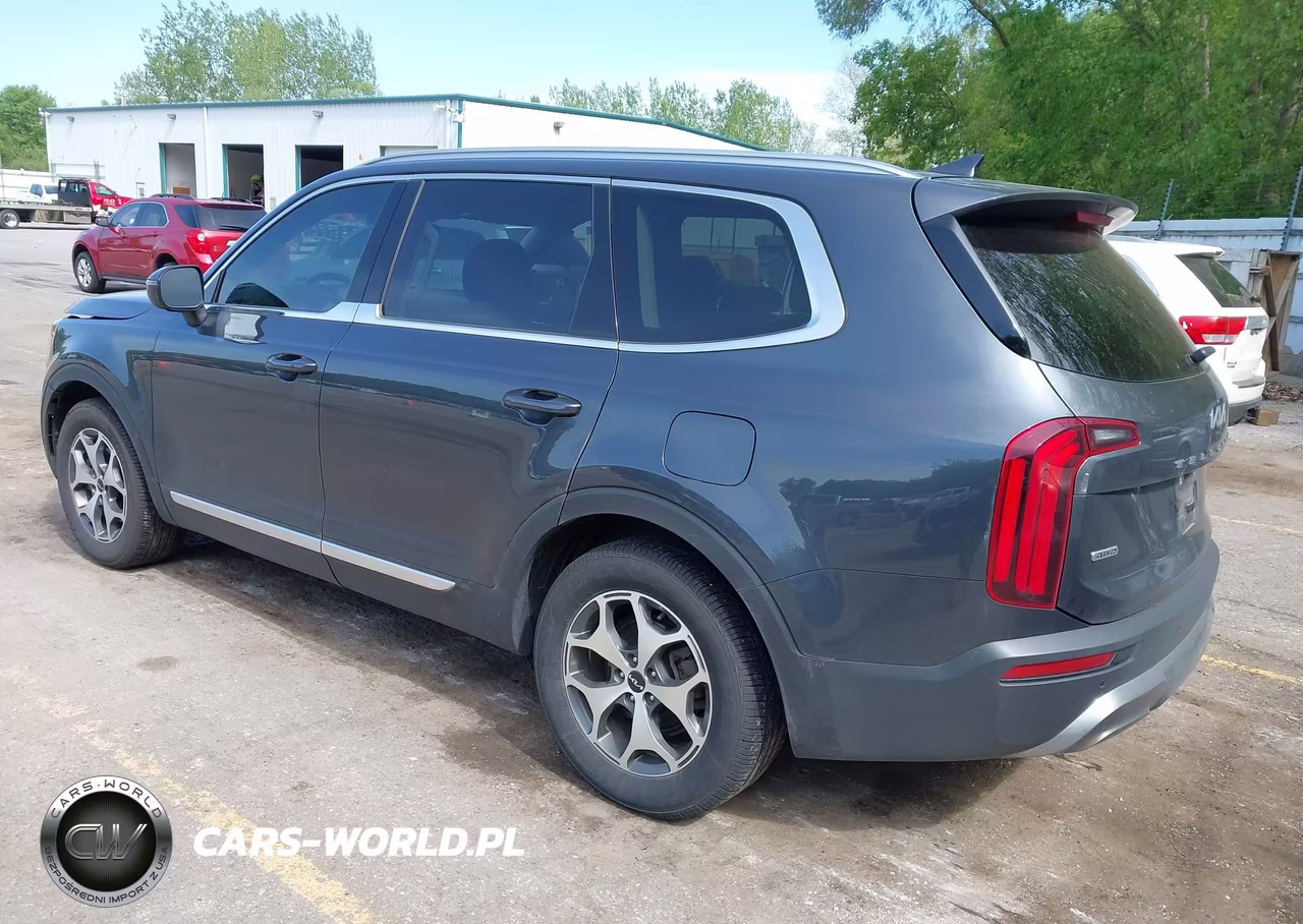 2022 Kia Telluride Ex VIN:5XYP3DHCXNG251556 - 3
