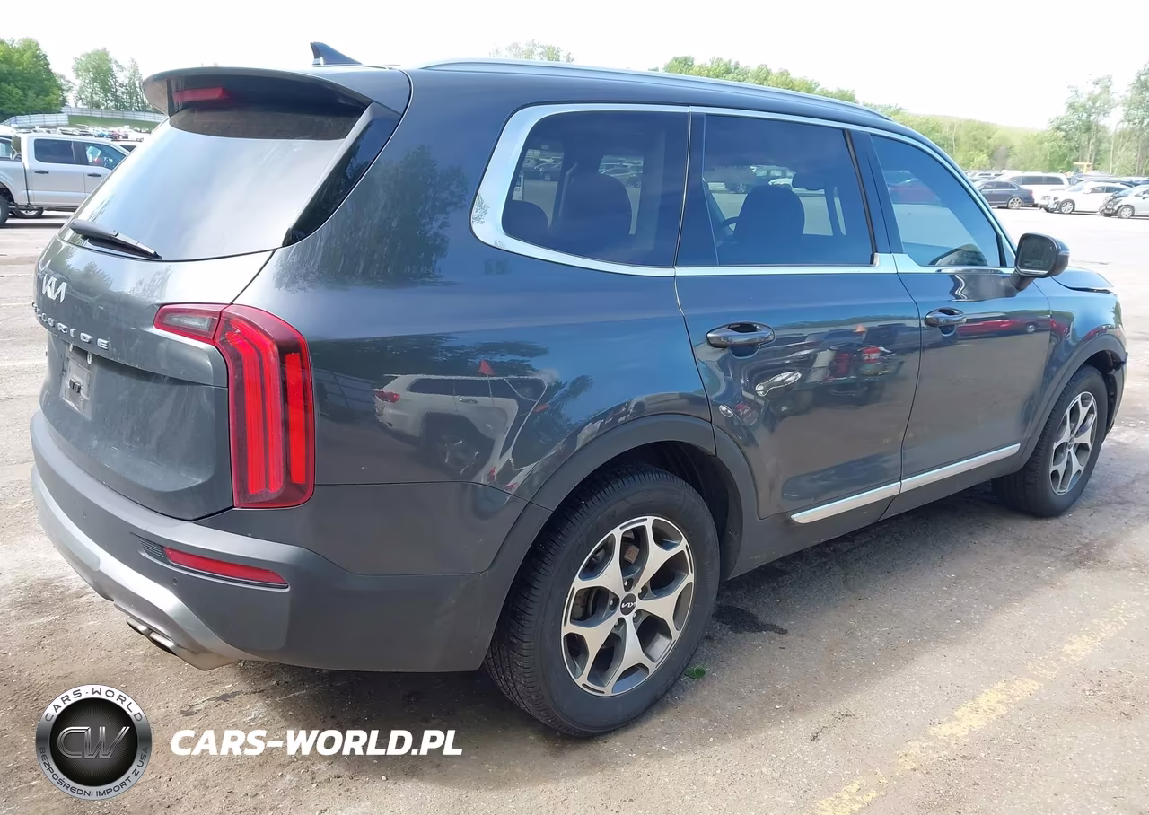 2022 Kia Telluride Ex VIN:5XYP3DHCXNG251556 - 4