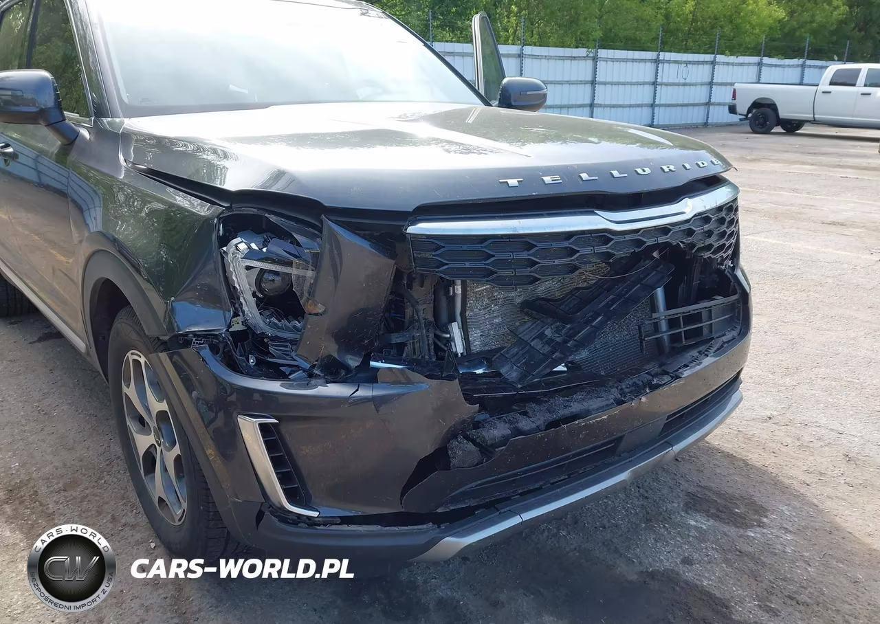 2022 Kia Telluride Ex VIN:5XYP3DHCXNG251556 - 6
