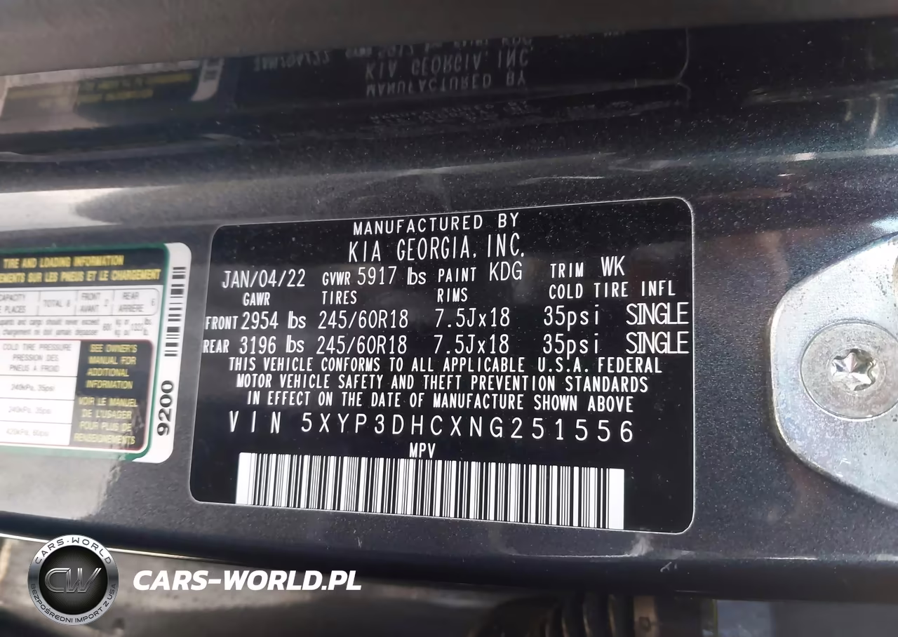 2022 Kia Telluride Ex VIN:5XYP3DHCXNG251556 - 9