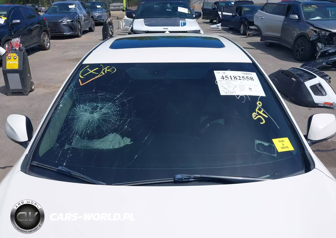 2019 Infiniti Q50 3.0T Luxe VIN:JN1EV7AR8KM556522 - 19