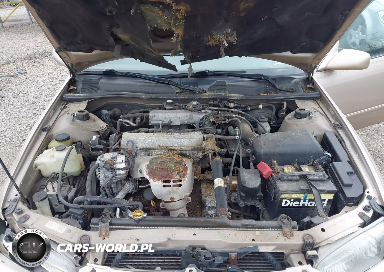 1997 Toyota Camry Le VIN:4T1BG22K2VU161041 - 10