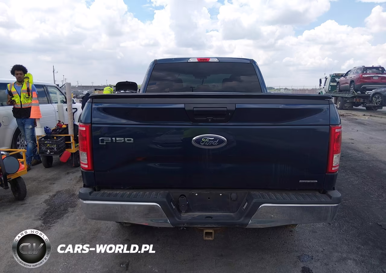 2016 Ford F-150 Xlt VIN:1FTFW1EF2GFD06216 - 16