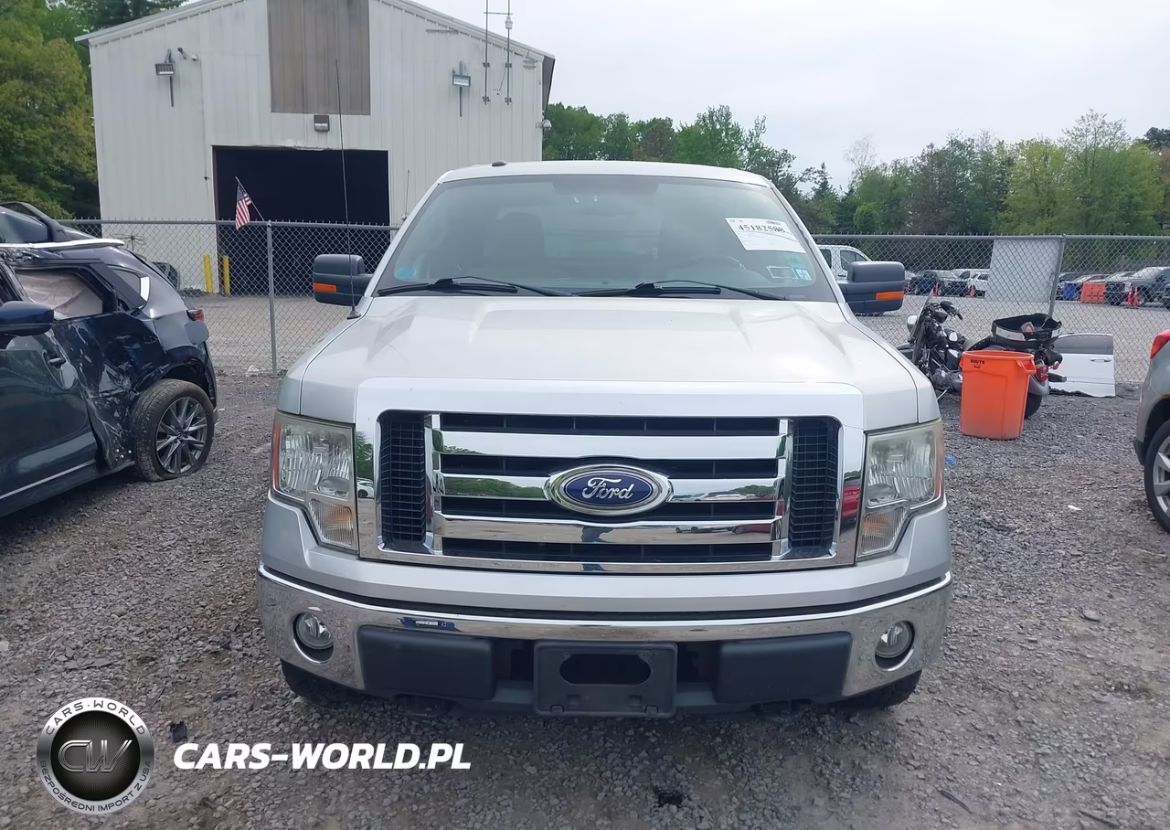 2010 Ford F-150 Stx-Xl-Xlt VIN:1FTEX1E82AFC74403 - 12