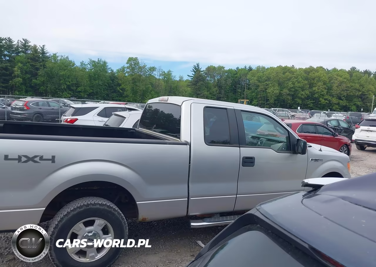 2010 Ford F-150 Stx-Xl-Xlt VIN:1FTEX1E82AFC74403 - 13