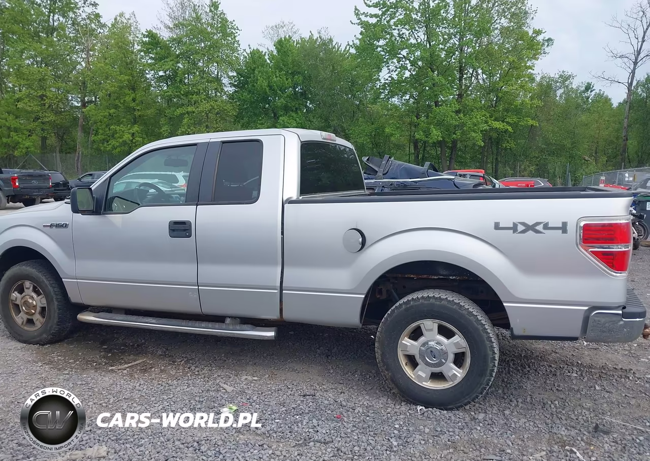 2010 Ford F-150 Stx-Xl-Xlt VIN:1FTEX1E82AFC74403 - 14
