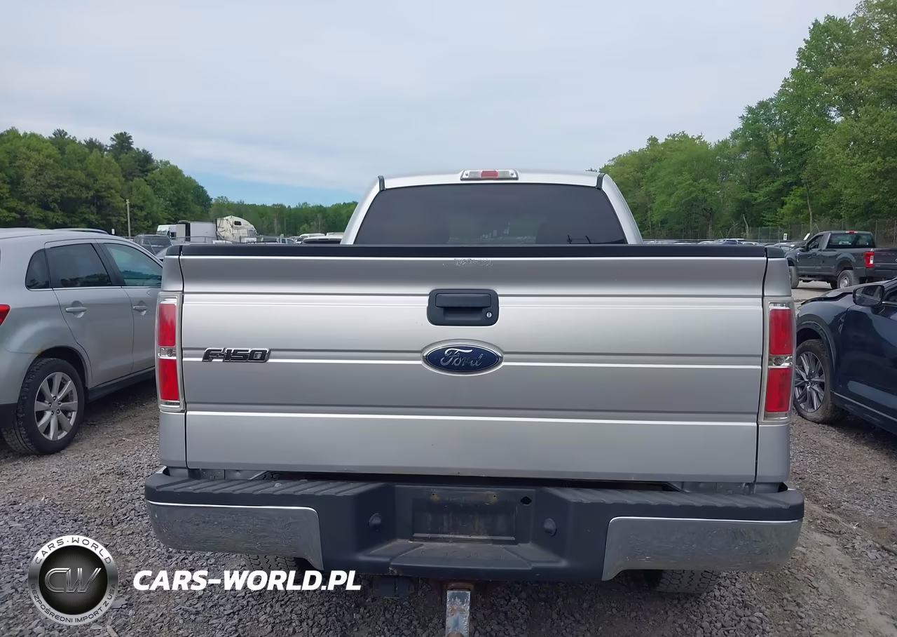 2010 Ford F-150 Stx-Xl-Xlt VIN:1FTEX1E82AFC74403 - 16