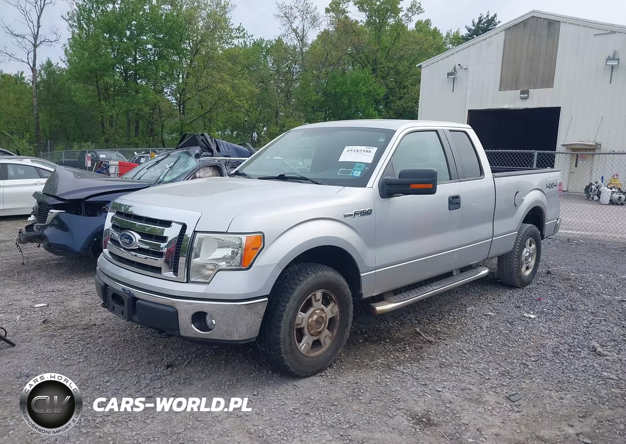 2010 Ford F-150 Stx-Xl-Xlt VIN:1FTEX1E82AFC74403 - 2