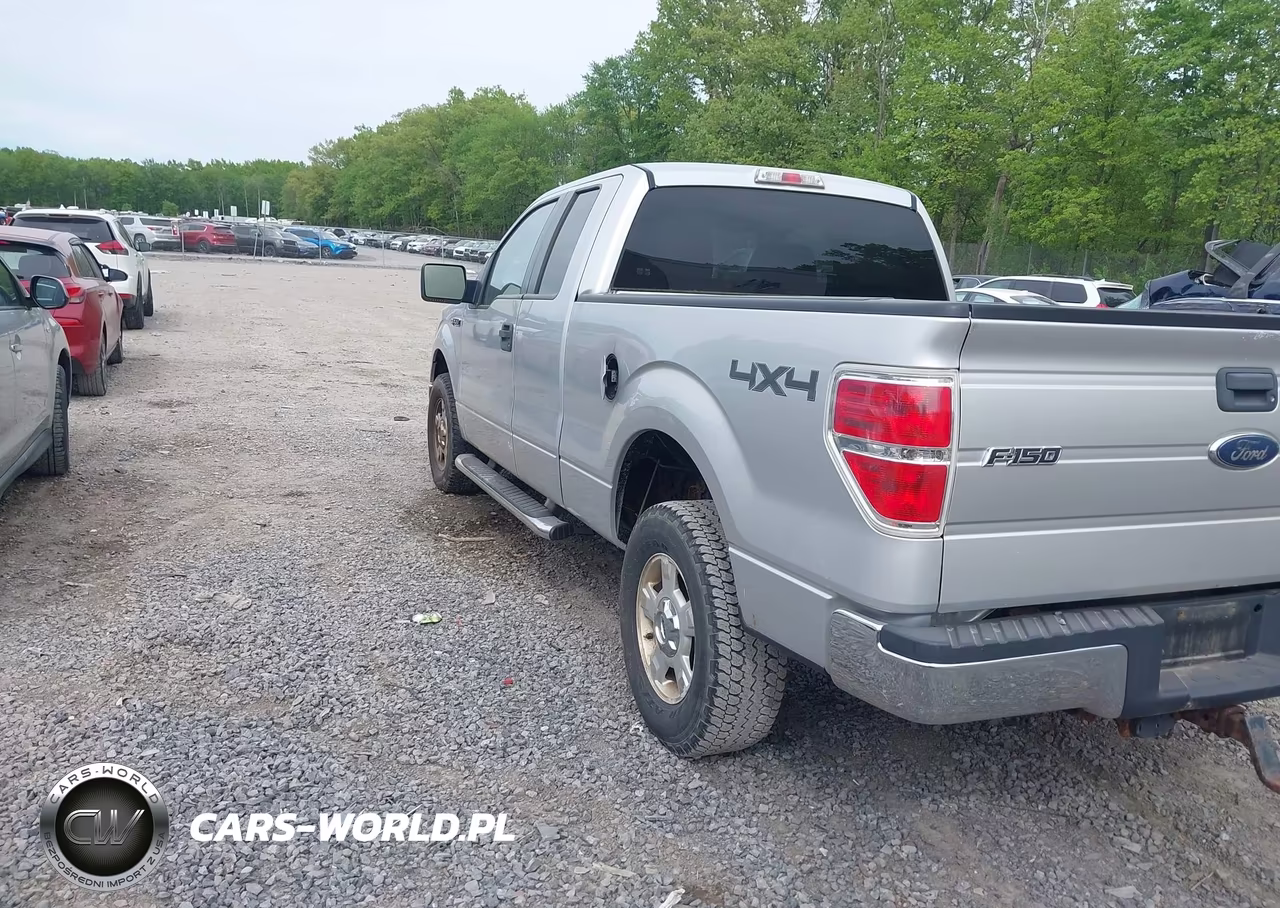 2010 Ford F-150 Stx-Xl-Xlt VIN:1FTEX1E82AFC74403 - 3
