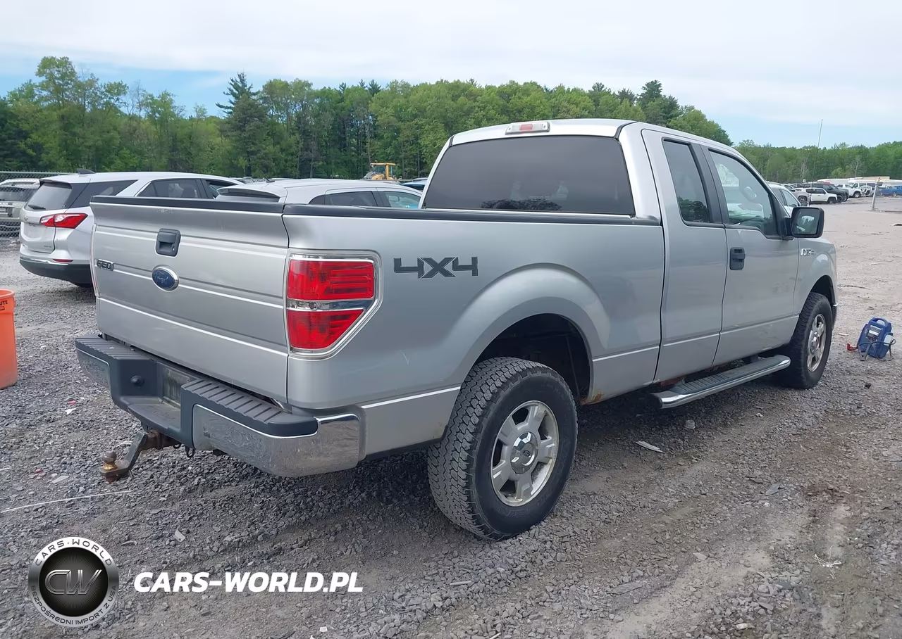2010 Ford F-150 Stx-Xl-Xlt VIN:1FTEX1E82AFC74403 - 4