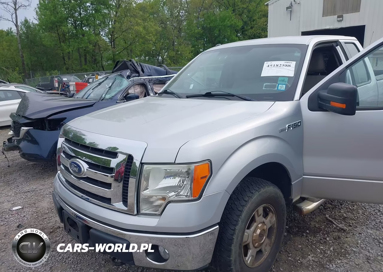 2010 Ford F-150 Stx-Xl-Xlt VIN:1FTEX1E82AFC74403 - 6