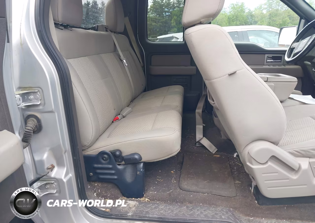 2010 Ford F-150 Stx-Xl-Xlt VIN:1FTEX1E82AFC74403 - 8