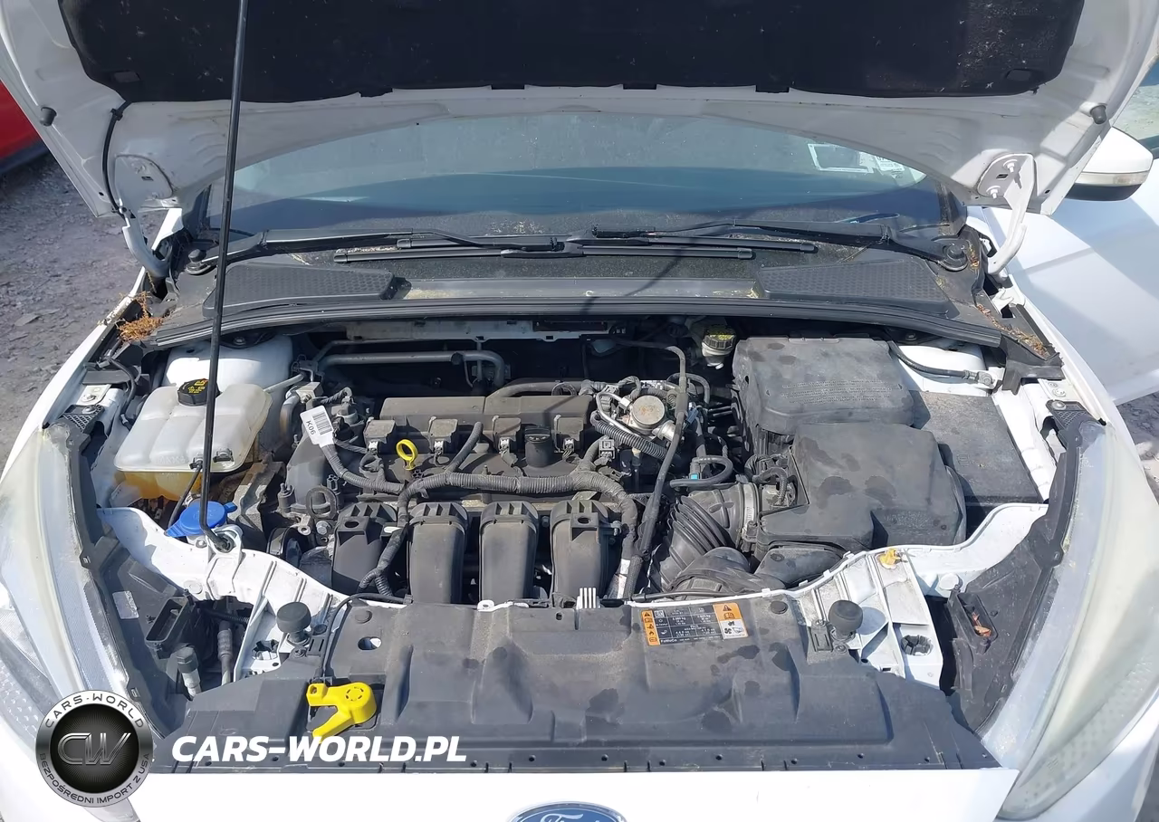2016 Ford Focus Se VIN:1FADP3K20GL345153 - 10