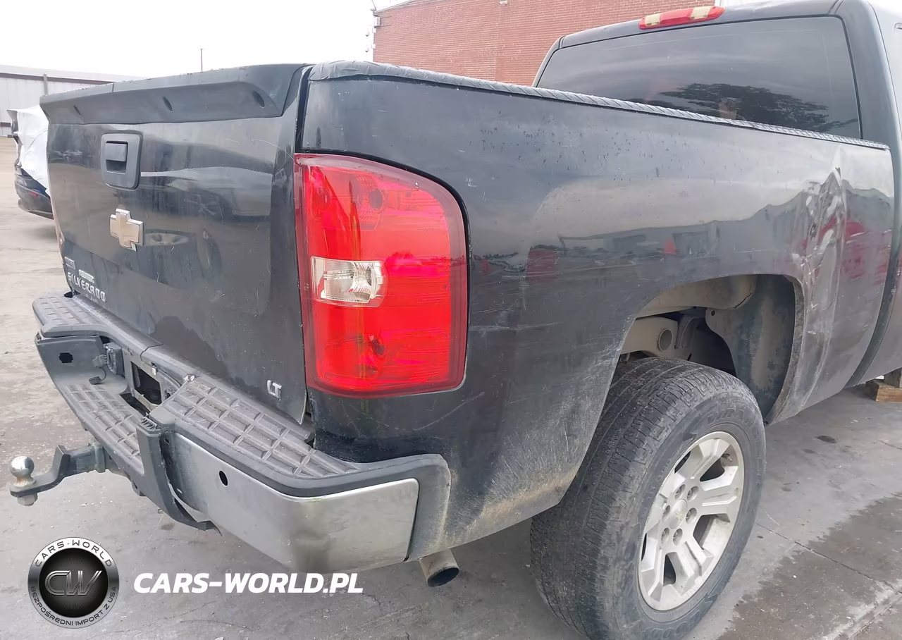 2008 Chevrolet Silverado 1500 Work Truck VIN:1GCEC19XX8Z215167 - 20
