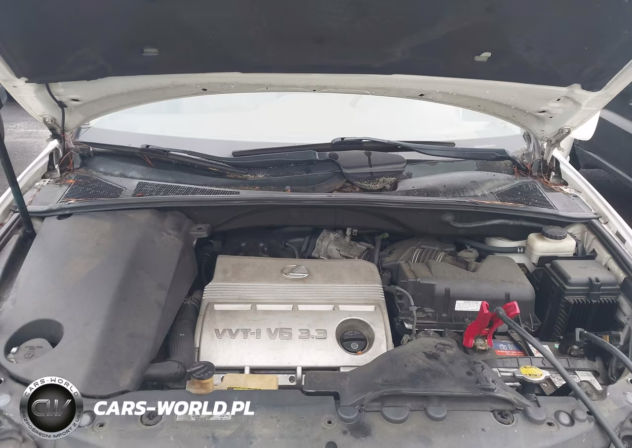 2006 Lexus Rx 330 VIN:2T2GA31UX6C052292 - 10