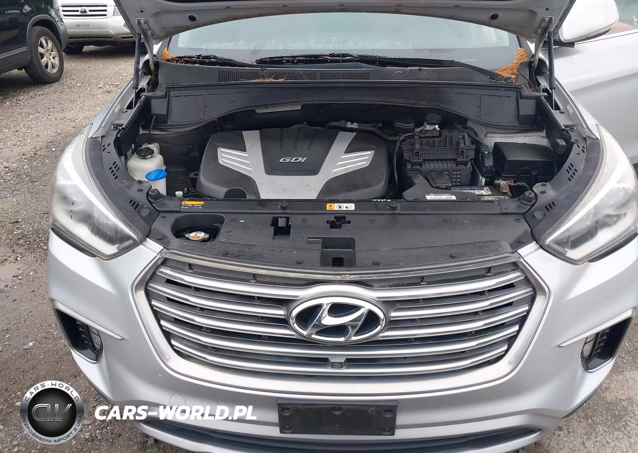 2017 Hyundai Santa Fe Limited Ultimate VIN:KM8SRDHF3HU197650 - 10