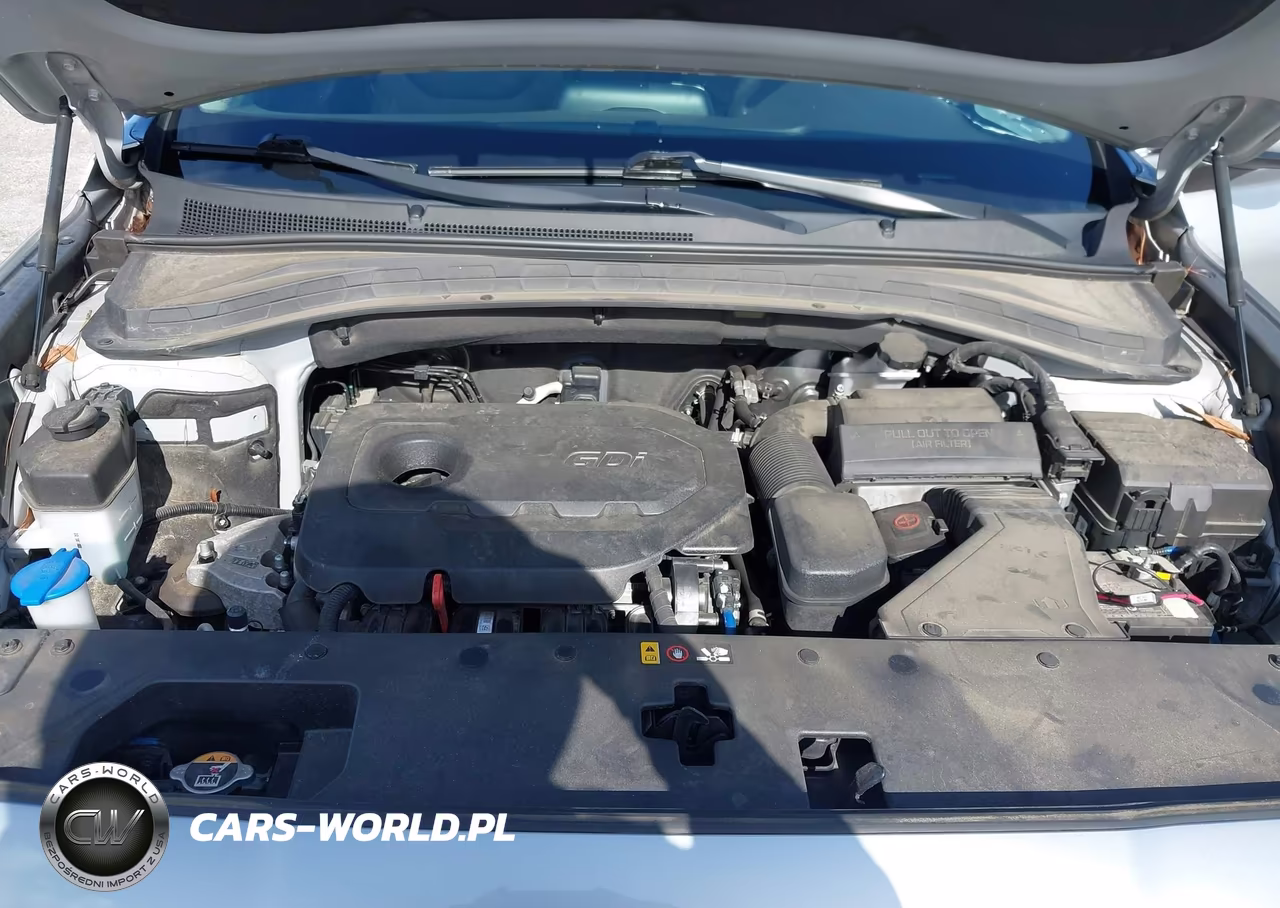 2020 Hyundai Santa Fe Se VIN:5NMS23AD8LH293446 - 10