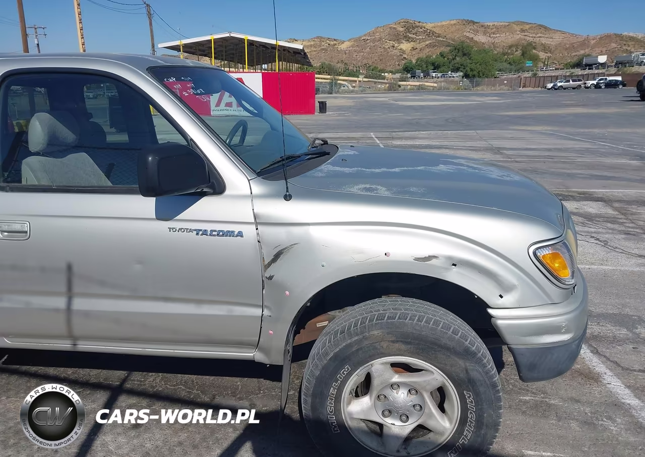 2002 Toyota Tacoma Prerunner VIN:5TESN92N92Z099671 - 6