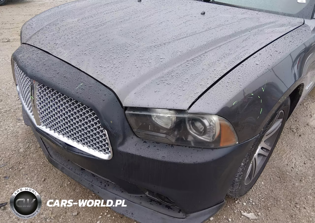 2014 Dodge Charger R-T VIN:2C3CDXCT3EH326625 - 19