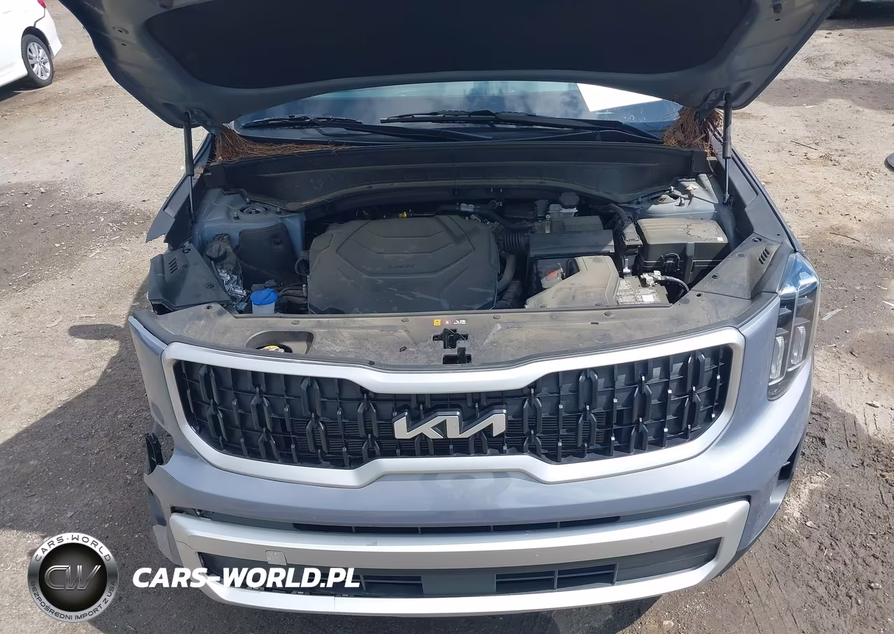 2024 Kia Telluride Ex VIN:5XYP34GC4RG520030 - 10