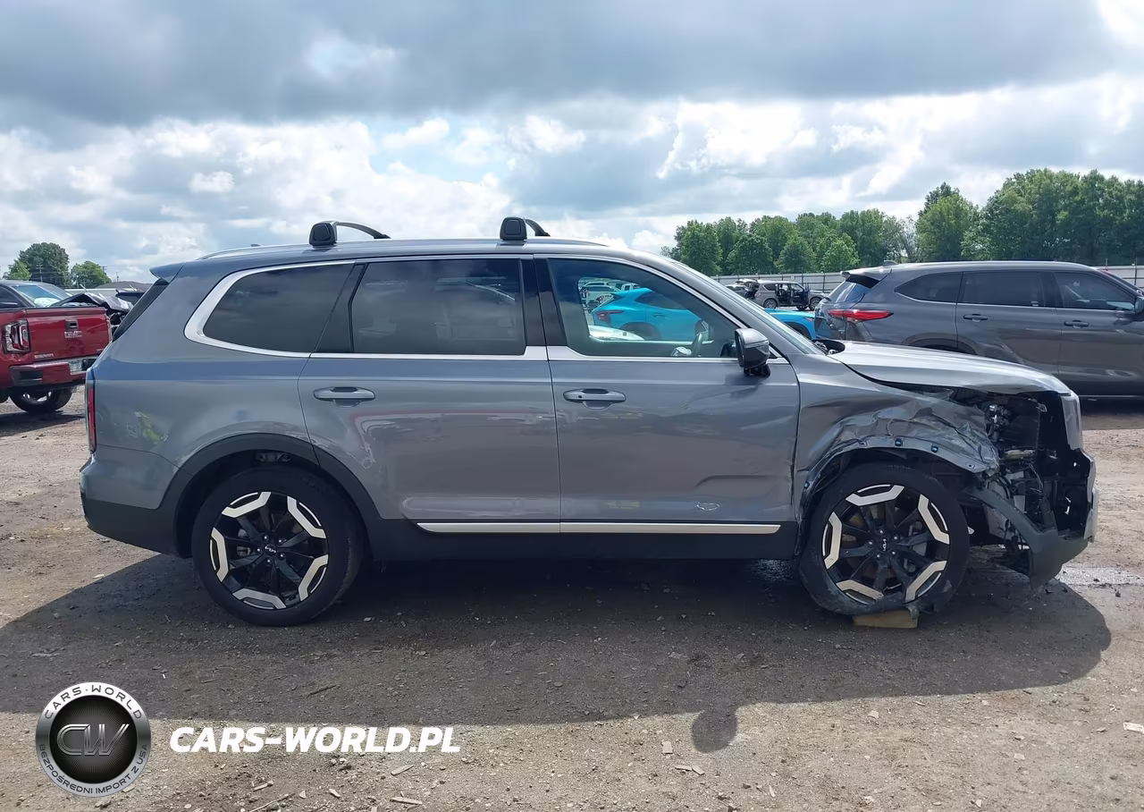 2024 Kia Telluride Ex VIN:5XYP34GC4RG520030 - 13