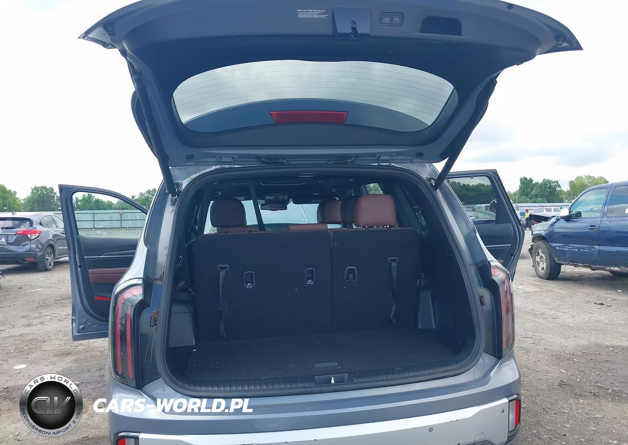 2024 Kia Telluride Ex VIN:5XYP34GC4RG520030 - 17