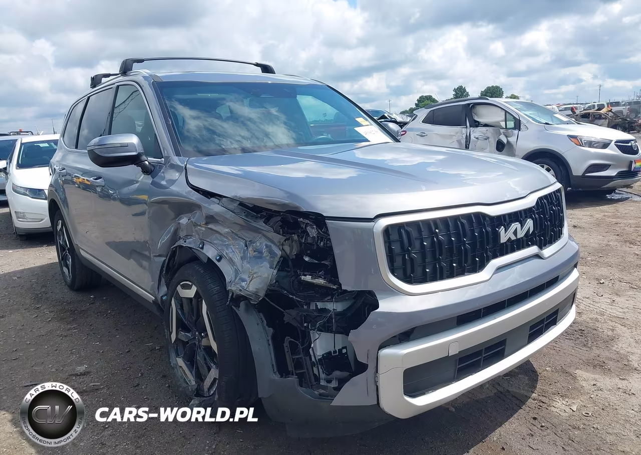 2024 Kia Telluride Ex VIN:5XYP34GC4RG520030 - 18