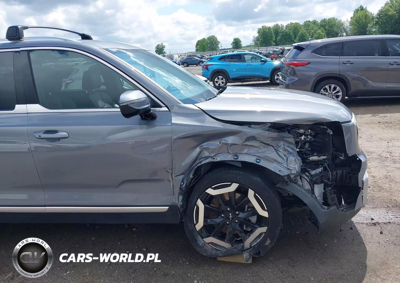 2024 Kia Telluride Ex VIN:5XYP34GC4RG520030 - 19