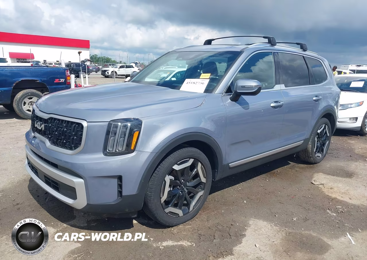 2024 Kia Telluride Ex VIN:5XYP34GC4RG520030 - 2