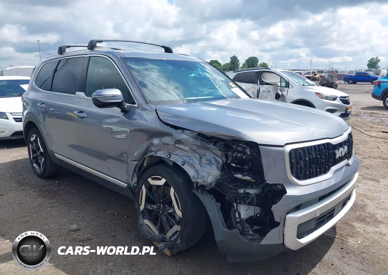2024 Kia Telluride Ex VIN:5XYP34GC4RG520030 - 6