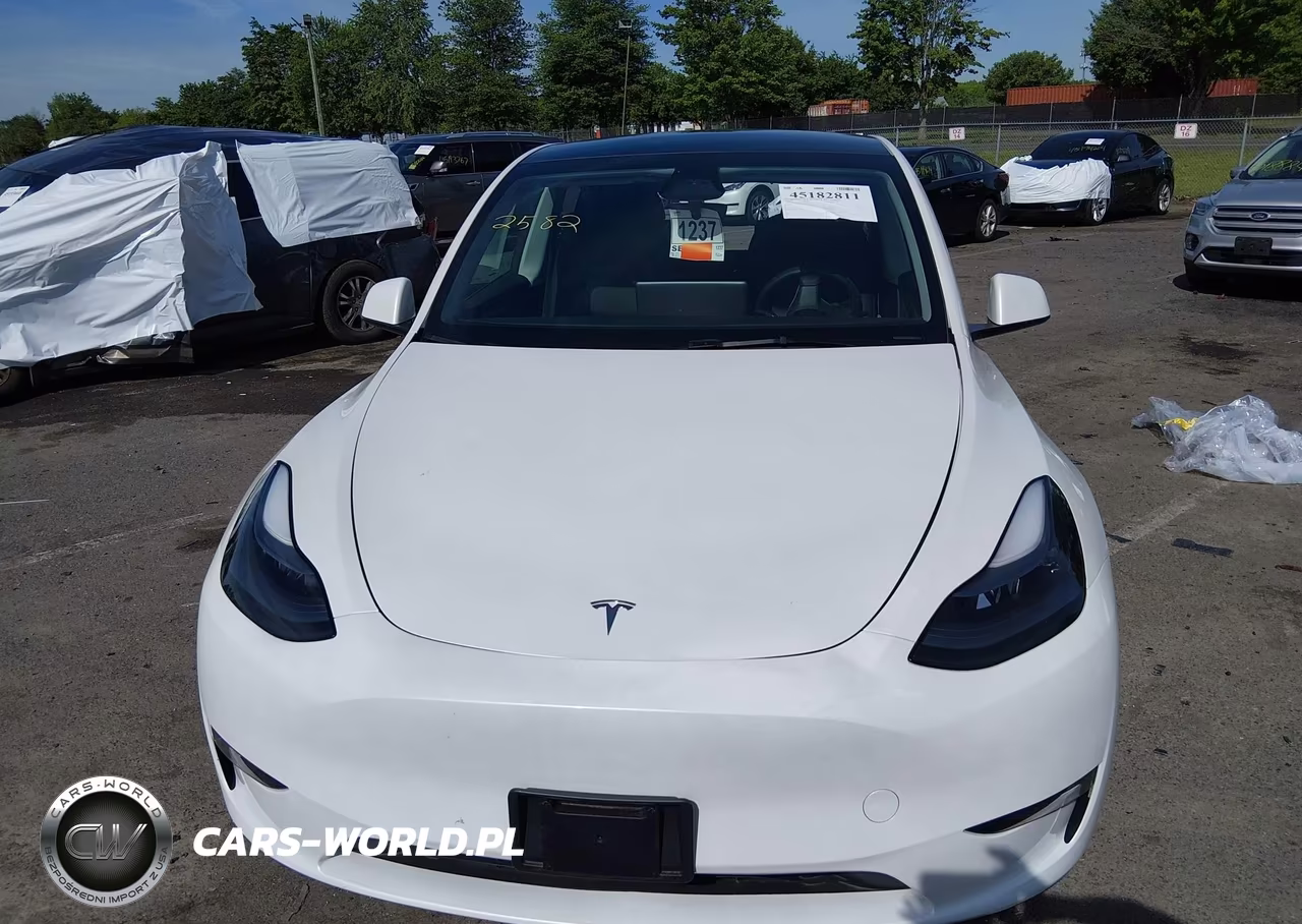 2024 Tesla Model Y Long Range Dual Motor All-Wheel Drive VIN:7SAYGAEE1RF132582 - 10