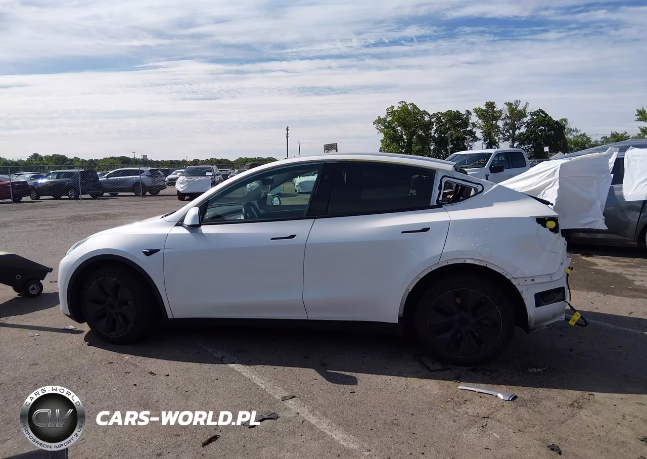 2024 Tesla Model Y Long Range Dual Motor All-Wheel Drive VIN:7SAYGAEE1RF132582 - 12
