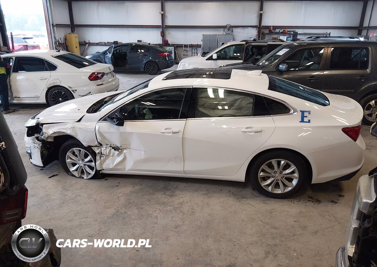 2024 Chevrolet Malibu Fwd 1Lt VIN:1G1ZD5ST1RF203627 - 14