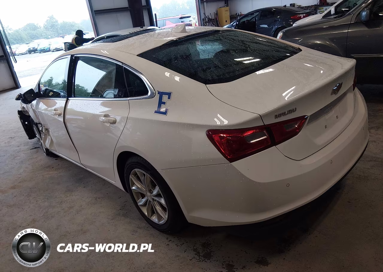 2024 Chevrolet Malibu Fwd 1Lt VIN:1G1ZD5ST1RF203627 - 3