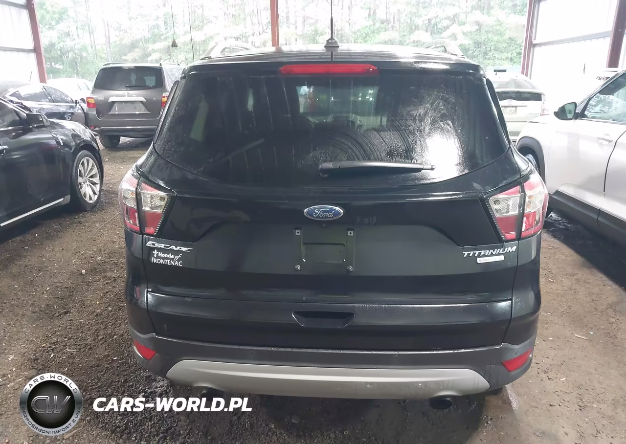 2017 Ford Escape Titanium VIN:1FMCU0JD4HUD76316 - 16