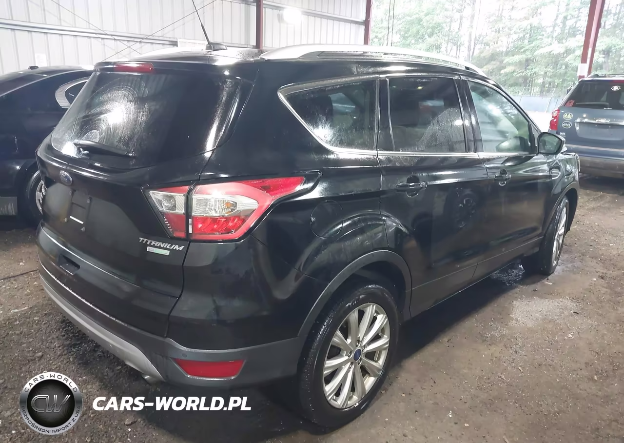 2017 Ford Escape Titanium VIN:1FMCU0JD4HUD76316 - 4