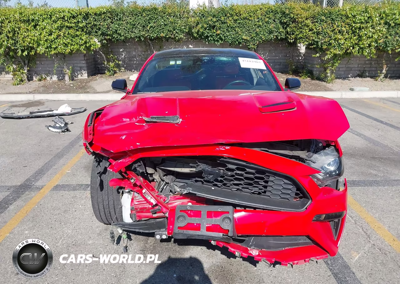 2021 Ford Mustang Ecoboost Premium Fastback VIN:1FA6P8TH2M5150115 - 13