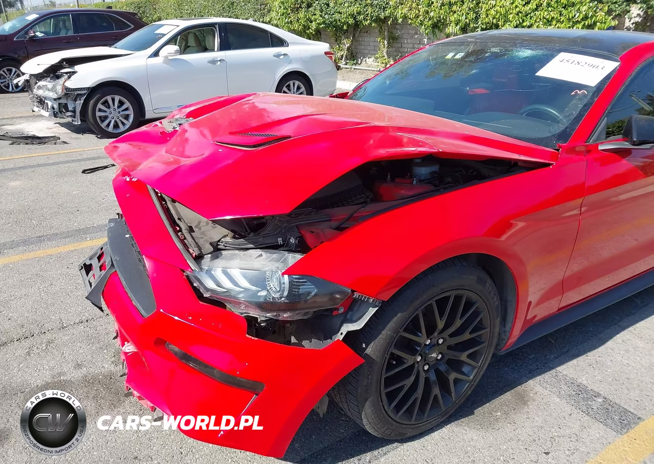 2021 Ford Mustang Ecoboost Premium Fastback VIN:1FA6P8TH2M5150115 - 19