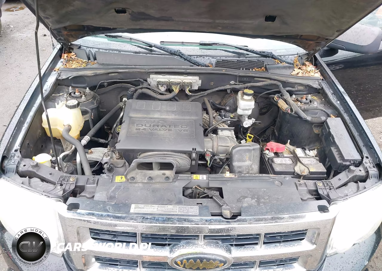 2010 Ford Escape Xlt VIN:1FMCU9DG1AKC96614 - 10