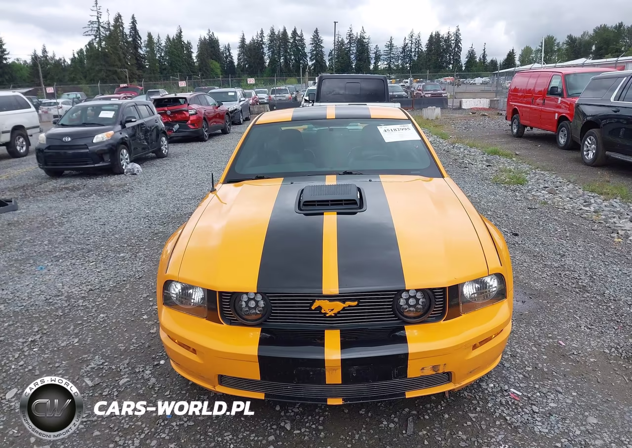 2007 Ford Mustang Gt Deluxe-Gt Premium VIN:1ZVHT82H575289267 - 13