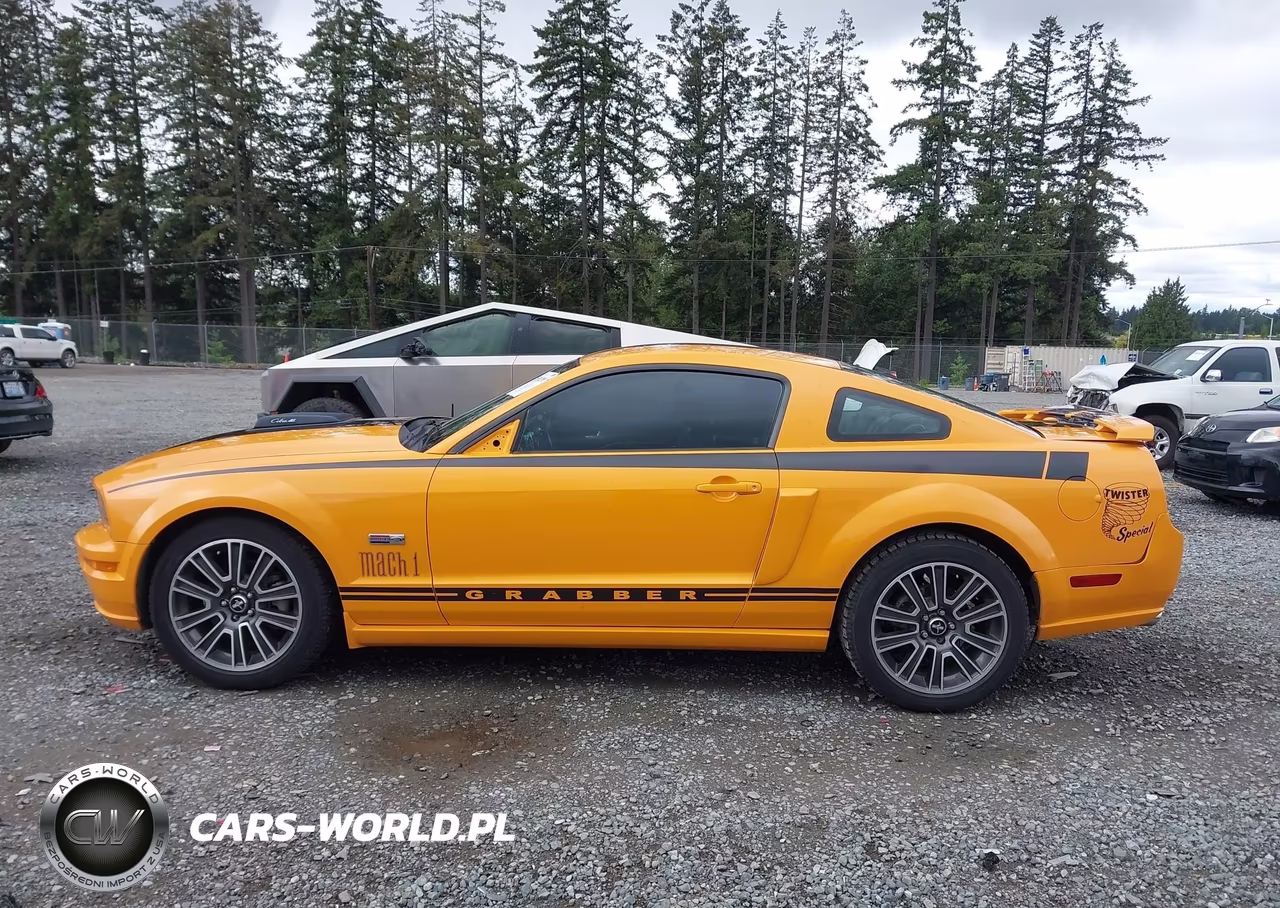 2007 Ford Mustang Gt Deluxe-Gt Premium VIN:1ZVHT82H575289267 - 15