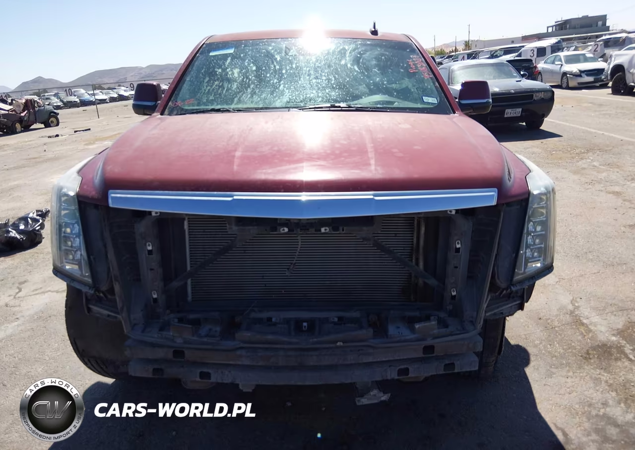 2018 Cadillac Escalade Luxury VIN:1GYS4BKJ7JR144683 - 12
