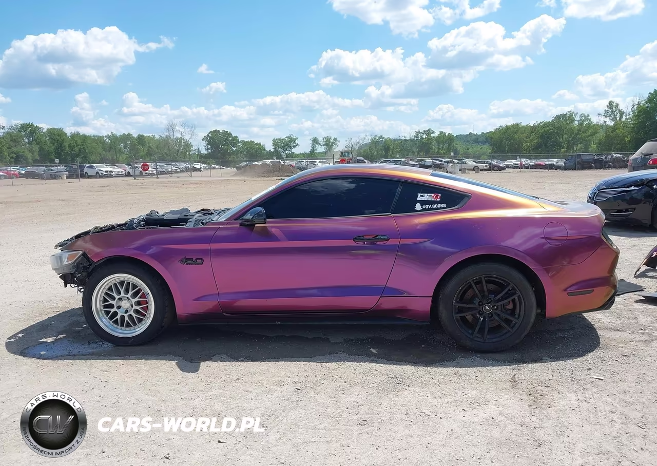 2017 Ford Mustang Gt VIN:1FA6P8CF0H5333274 - 15