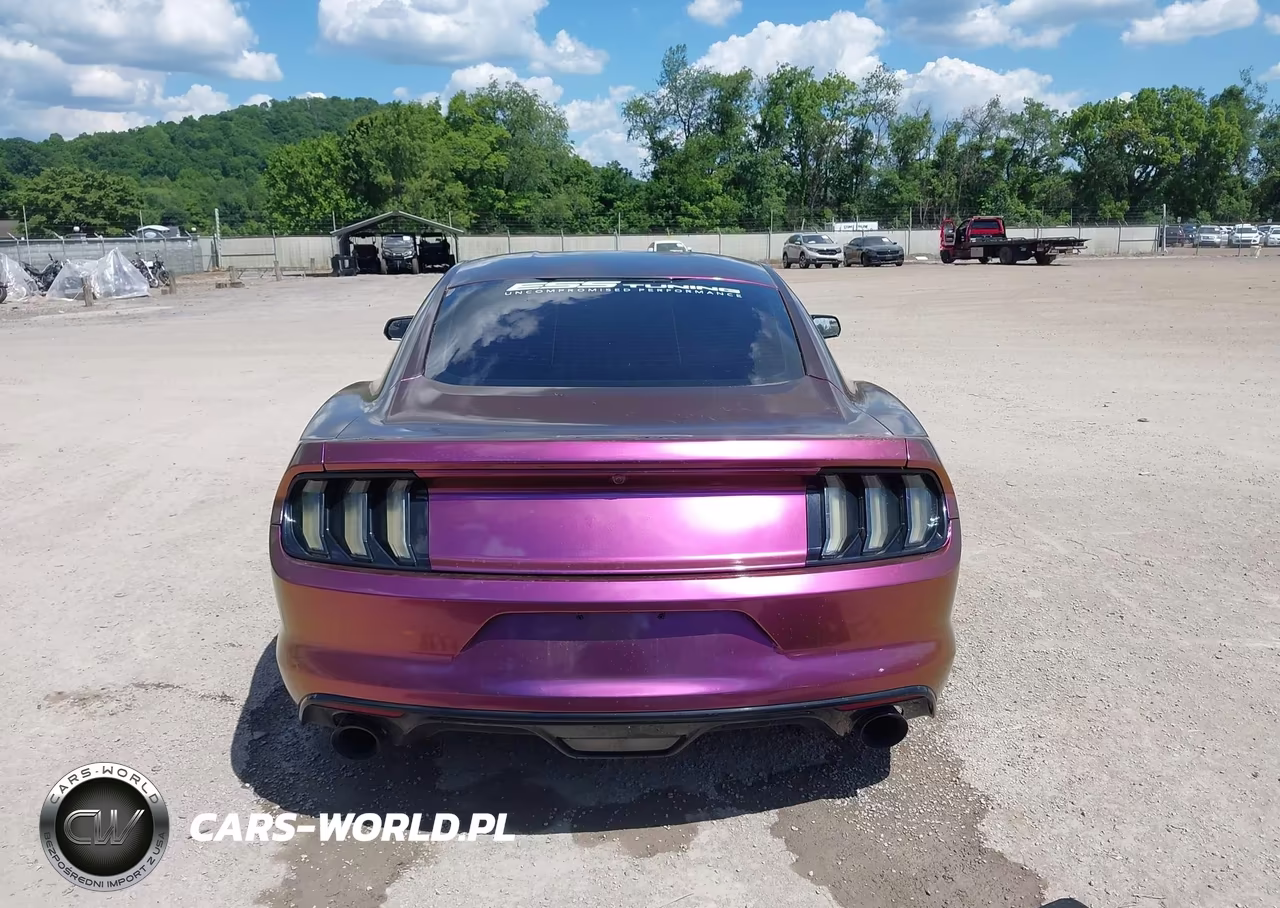 2017 Ford Mustang Gt VIN:1FA6P8CF0H5333274 - 17