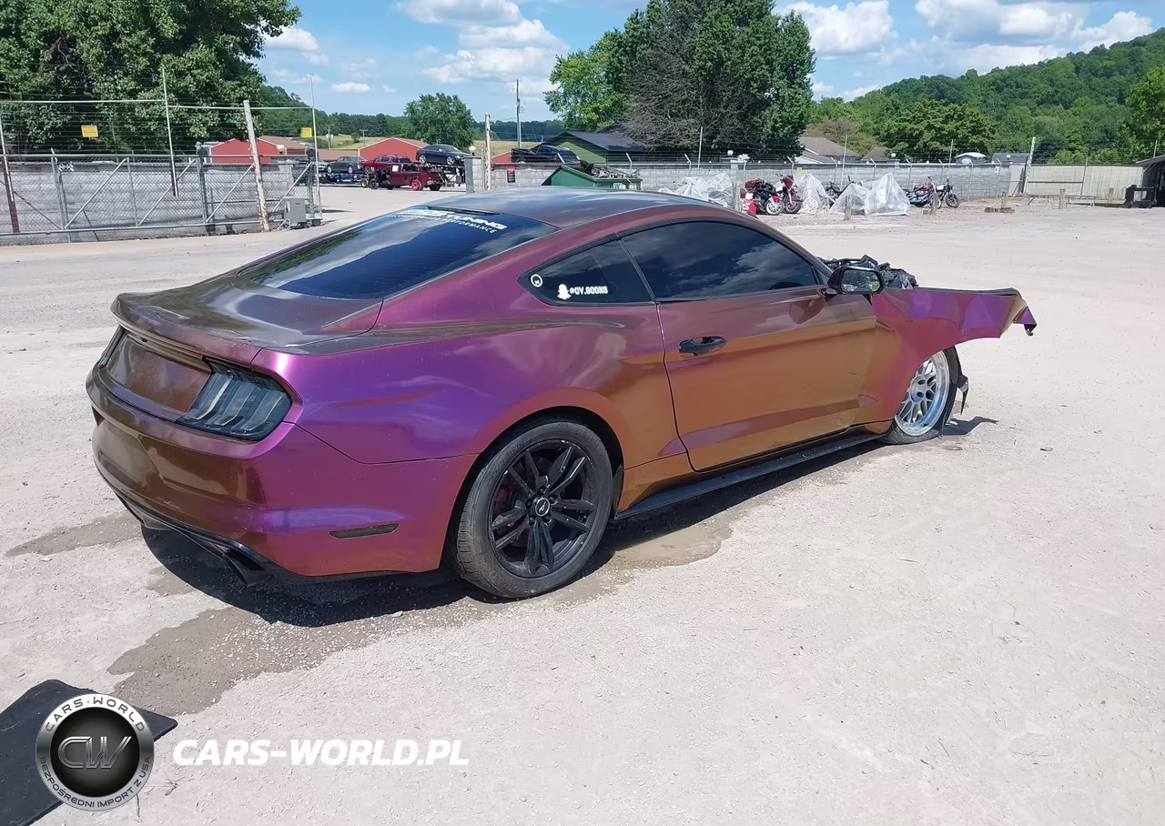 2017 Ford Mustang Gt VIN:1FA6P8CF0H5333274 - 4